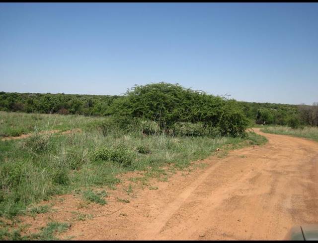 0 BEDROOM HOUSE FOR SALE IN DINOKENG GAME RESERVE